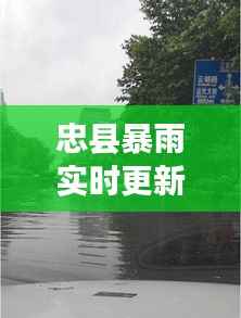 忠县暴雨实时更新,今日雨情最新消息