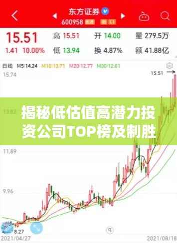揭秘低估值高潜力投资公司TOP榜及制胜投资策略
