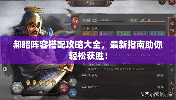 郝昭阵容搭配攻略大全,最新指南助你轻松获胜!