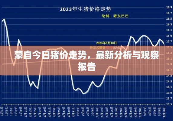 蒙自今日猪价走势,最新分析与观察报告