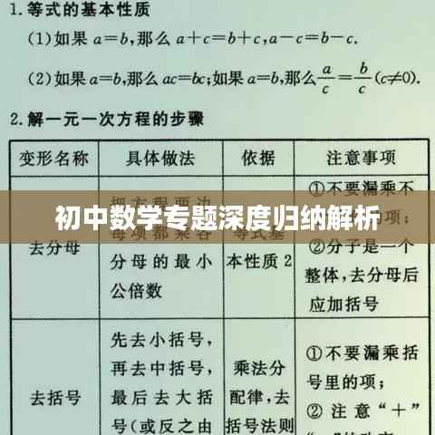 初中数学专题深度归纳解析