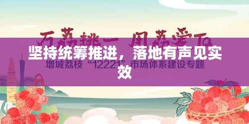 坚持统筹推进,落地有声见实效