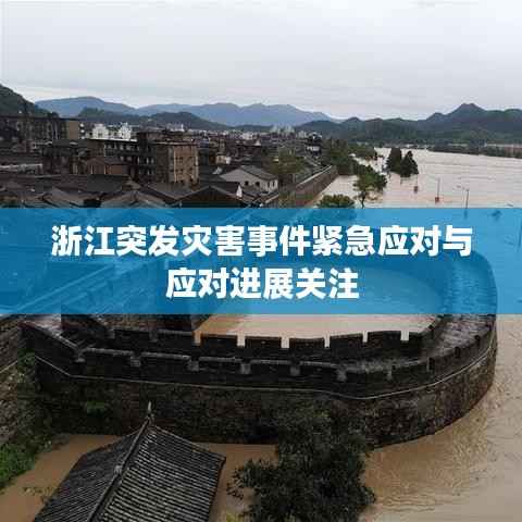 浙江突发灾害事件紧急应对与应对进展关注