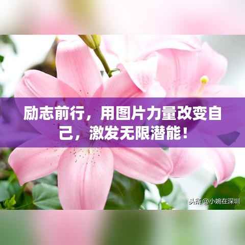 励志前行,用图片力量改变自己,激发无限潜能!