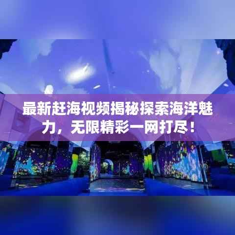 最新赶海视频揭秘探索海洋魅力,无限精彩一网打尽!