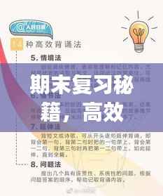 期末复习秘籍,高效策略与实用技巧一网打尽!独家资料助你冲刺备考!