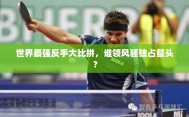 世界最强反手大比拼,谁领风骚独占鳌头?