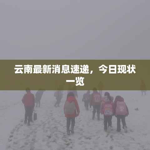 飞潜动植 第2页