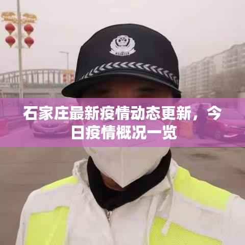 石家庄最新疫情动态更新,今日疫情概况一览