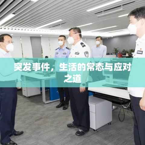 突发事件,生活的常态与应对之道