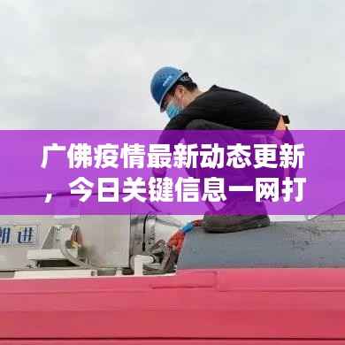 广佛疫情最新动态更新,今日关键信息一网打尽