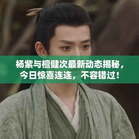 杨紫与檀健次最新动态揭秘,今日惊喜连连,不容错过!