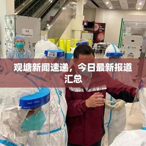 观塘新闻速递,今日最新报道汇总