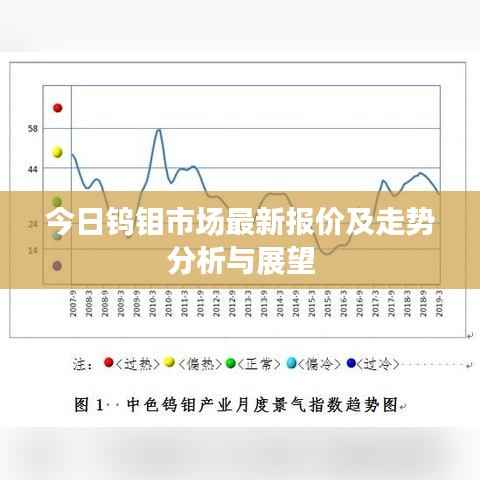 今日钨钼市场最新报价及走势分析与展望