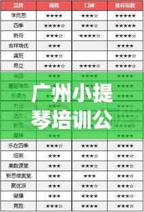 广州小提琴培训公司排名大揭秘,专业机构评选榜单出炉!