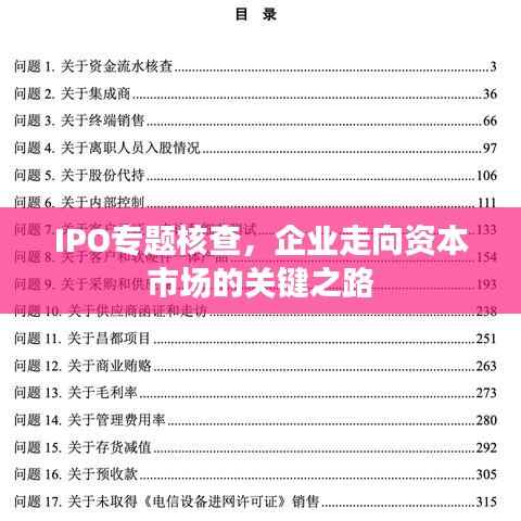 IPO专题核查，企业走向资本市场的关键之路