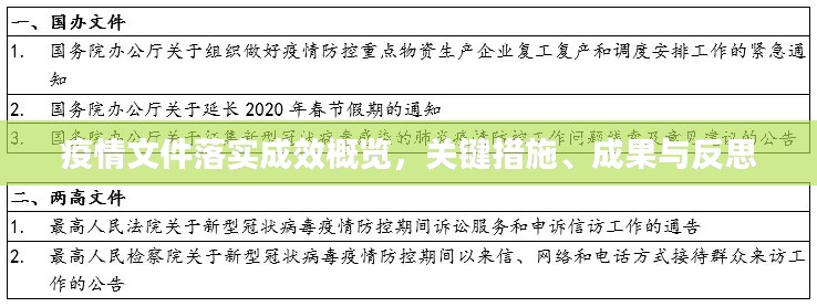 疫情文件落实成效概览,关键措施、成果与反思