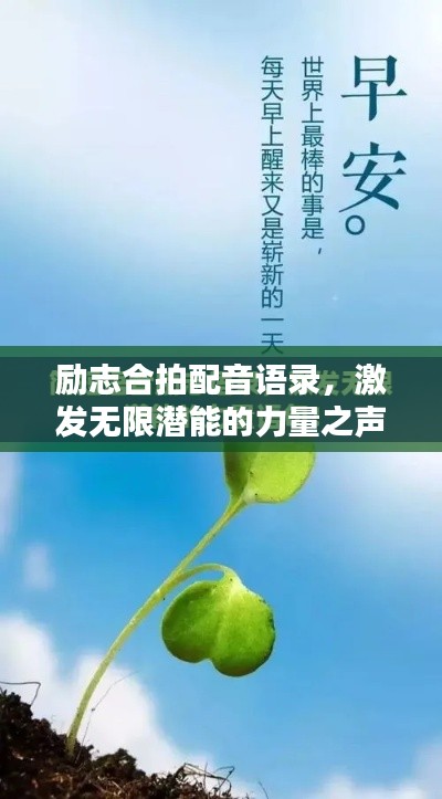 励志合拍配音语录,激发无限潜能的力量之声