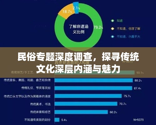 民俗专题深度调查,探寻传统文化深层内涵与魅力