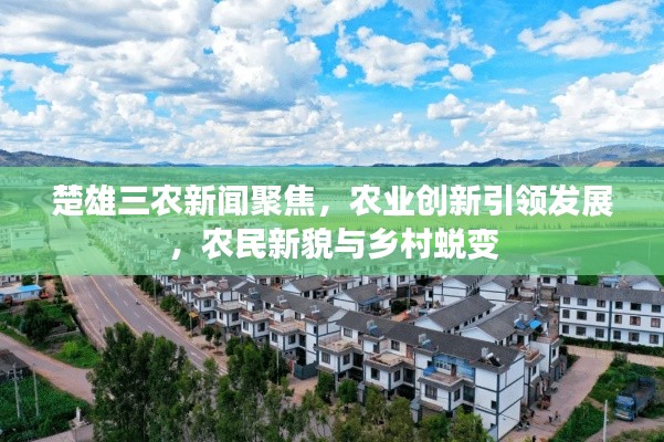 楚雄三农新闻聚焦，农业创新引领发展，农民新貌与乡村蜕变