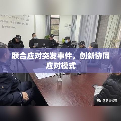 联合应对突发事件,创新协同应对模式