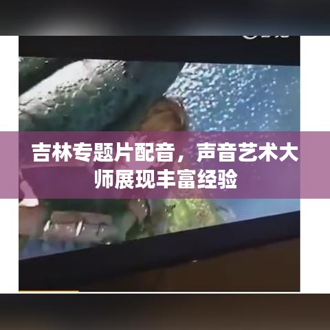 吉林专题片配音,声音艺术大师展现丰富经验