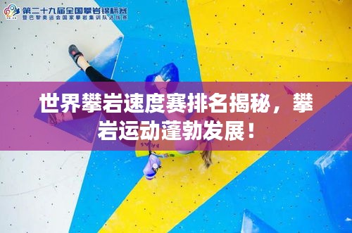 世界攀岩速度赛排名揭秘,攀岩运动蓬勃发展!