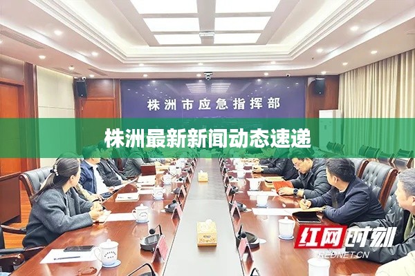 株洲最新新闻动态速递