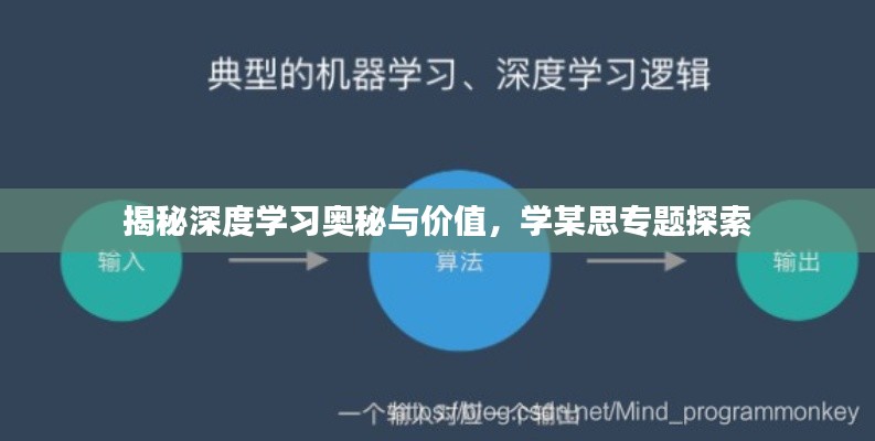 揭秘深度学习奥秘与价值,学某思专题探索