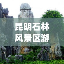 昆明石林风景区游玩攻略大全！