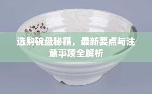 选购碗盘秘籍,最新要点与注意事项全解析
