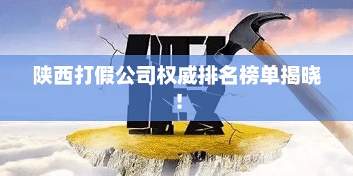 陕西打假公司权威排名榜单揭晓!