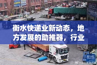 衡水快递业新动态,地方发展的助推器,行业资讯一网打尽