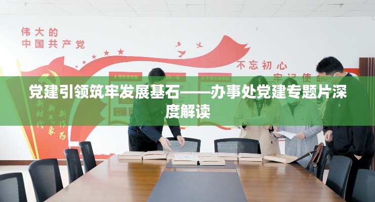 党建引领筑牢发展基石——办事处党建专题片深度解读