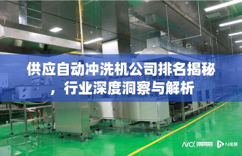 供应自动冲洗机公司排名揭秘,行业深度洞察与解析